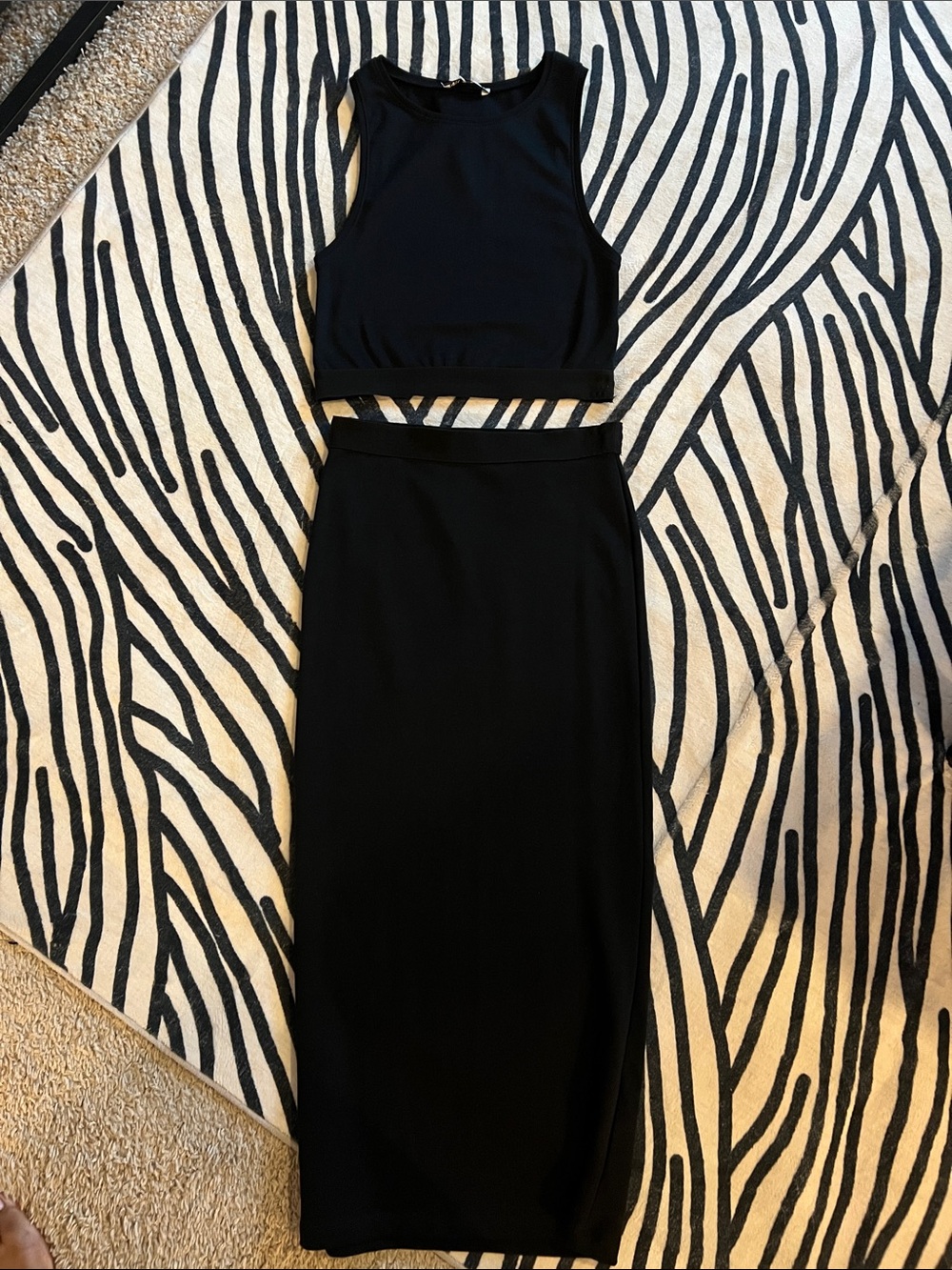 Zara NWT Tank Top and Midi Skirt Set